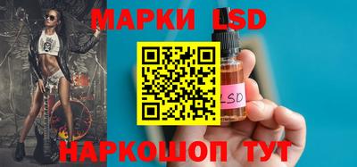 индика Брянск