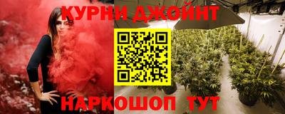 индика Брянск
