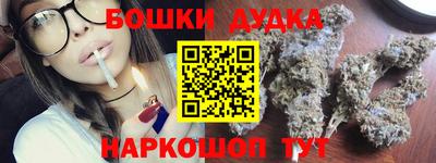 индика Брянск