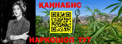 индика Брянск