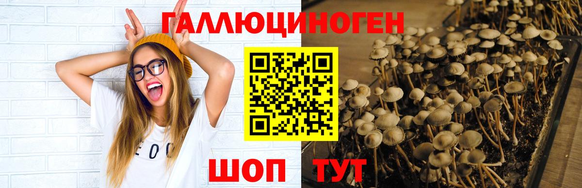 Галлюциногенные грибы мицелий  Вход с VPN  Великий Устюг 